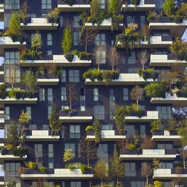 Sustainability in the corporate world